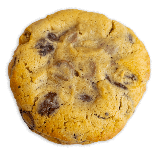 Chocolate Chip